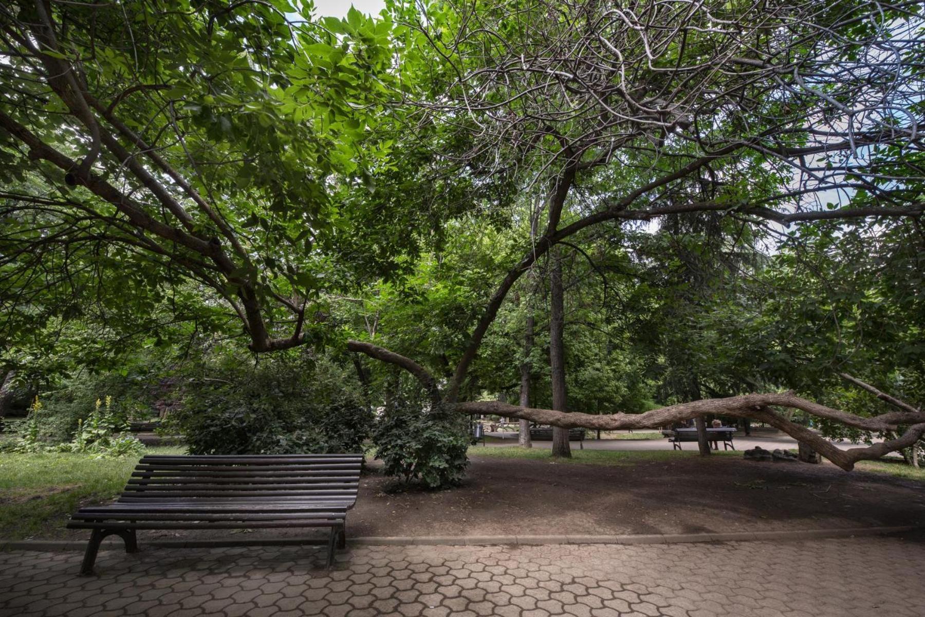 Rainforest Studio Downtown By Pretty Apartments بوخارست المظهر الخارجي الصورة